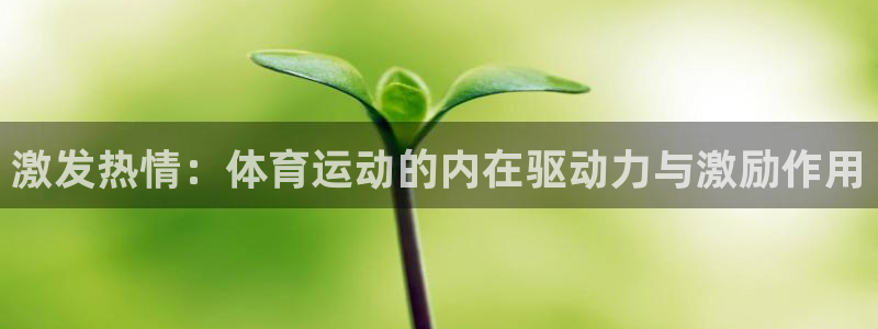 杏悦2推荐通道：激发热情：体育运动的内在驱动力与激励作用
