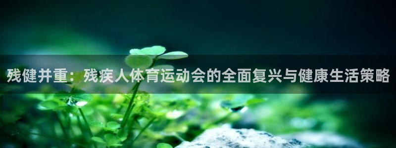 杏悦2平台注册：残健并重：残疾人体育运动会的全面复兴与健康生活策略