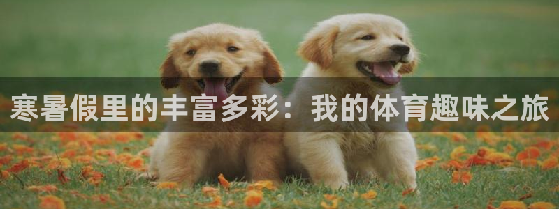 杏悦22体育：寒暑假里的丰富多彩：我的体育趣味之旅