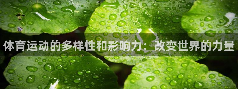 杏悦2体育app下载：体育运动的多样性和影响力：改变世界的力量