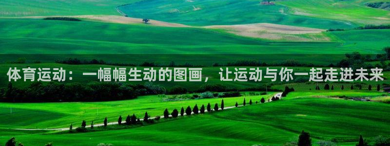杏悦2招商：体育运动：一幅幅生动的图画，让运动与你一起走进未来
