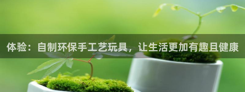 杏悦23：体验：自制环保手工艺玩具，让生活更加有趣且健康