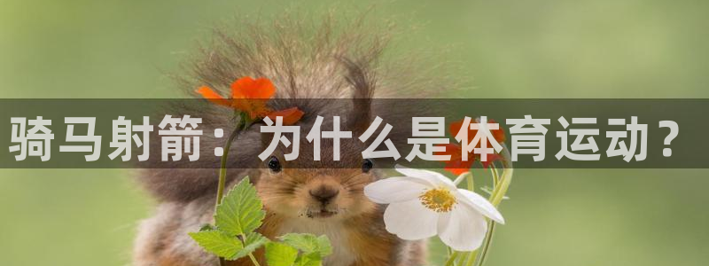 杏悦2体育凯捷平台代理：骑马射箭：为什么是体育运动？
