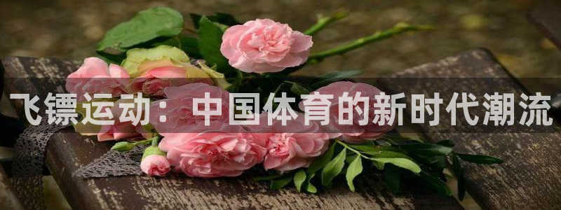 杏悦23官网：飞镖运动：中国体育的新时代潮流