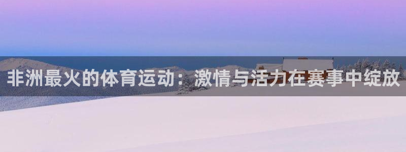 上海杏悦2汽车电子有限公司：非洲最火的体育运动：激情与活力在赛事中绽放