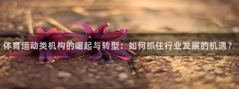 杏悦22登录入口：体育运动类机构的崛起与转型：如何抓住行业发展的机遇？