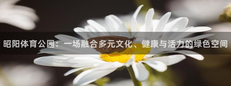 杏悦23登录：昭阳体育公园：一场融合多元文化、健康与活力的绿色空间