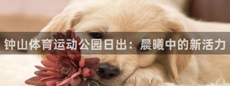 杏悦2体育3：钟山体育运动公园日出：晨曦中的新活力