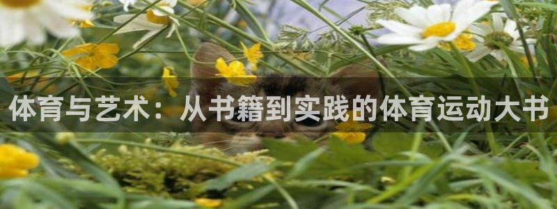杏悦2体育eon：体育与艺术：从书籍到实践的体育运动大书