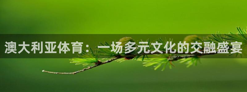 杏悦2手机客户端下载