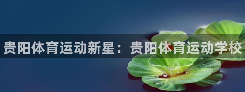 杏悦2娱乐平台：贵阳体育运动新星：贵阳体育运动学校