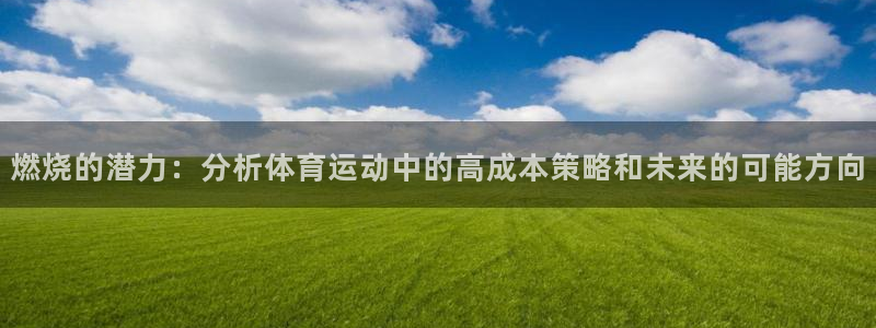 杏悦2体育网页版入口：燃烧的潜力：分析体育运动中的高成本策略和未来的可能方向